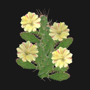 Cactus - cactus flower - flower - flora in Africa T-Shirt