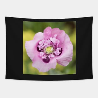 Opium Poppy Tapestry