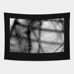 Black & White Photograph Dew Art Spider Web Spooky Halloween Photography Abstract Tapestry