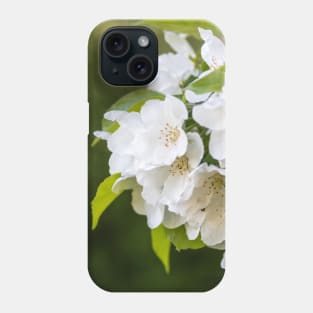 White Apple Blossoms Springtime Phone Case