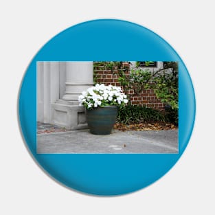 Pansy White Pin