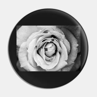 Emotion: Black and White Photo of a Rose in Bloom Pin