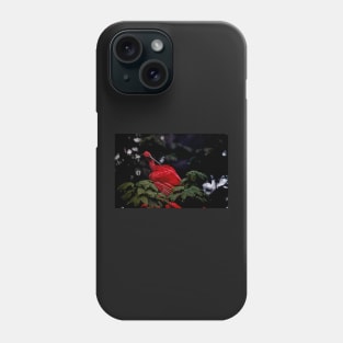 Scarlet Ibis Phone Case