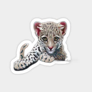 Cute Leopard Drawing Magnet