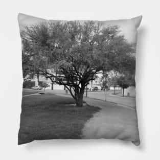 Landscape and tree Pillow