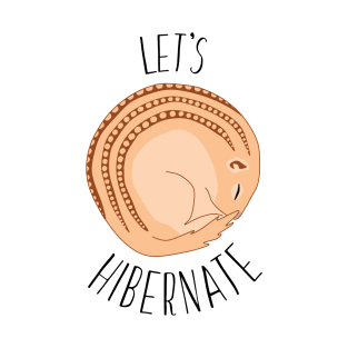 Let's hibernate T-Shirt