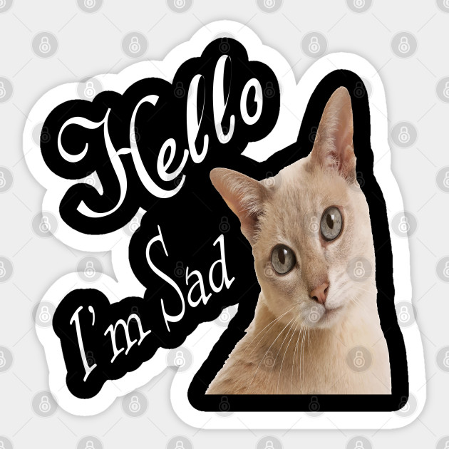 Hello My Cat Sad My Cat Sticker Teepublic