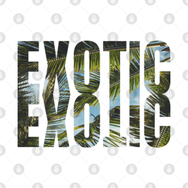 Discover Exotic - Exotic Miami - T-Shirt