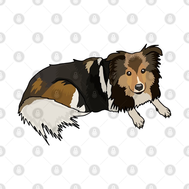 Shetland Sheepdog by crankycranium