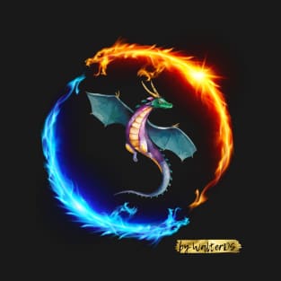 DRAGON | mystery T-Shirt