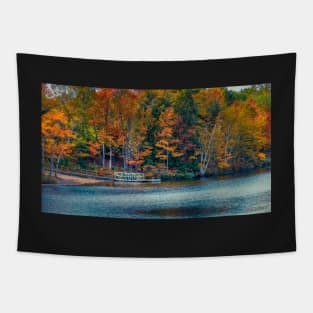 Autumn Colors at Kearney Lake Tapestry