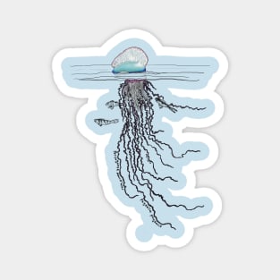 Portuguese Man O War-blue Magnet