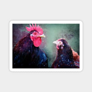 I only have eyes for you chicken romance Magnet