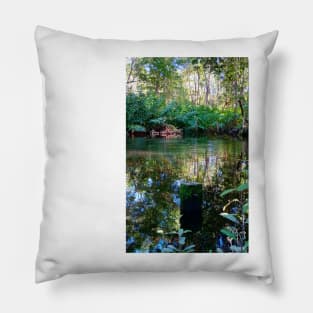 celestun ria wetland ecopark ecopop landscape photo in yucatan eye of the water green park Pillow