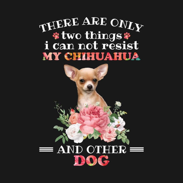 Chihuahua by UniqueWorld