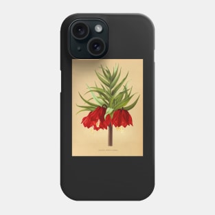 Crown Imperial poster - Fritillaria imperialis Rubra - botanical illustration Phone Case