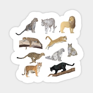 Wild Cats Pattern Magnet