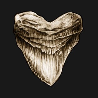 Megalodon Tooth Fossil T-Shirt