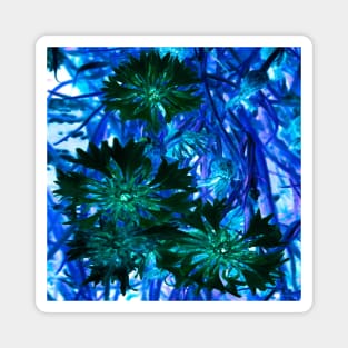 Cooled Winter Flowers Magnet