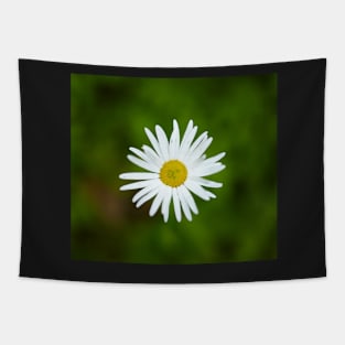 Wild yellow daisies Tapestry