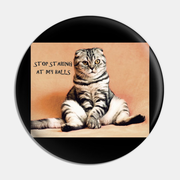 Stop Staring At My Balls Funny Cat Quote Pin Teepublic