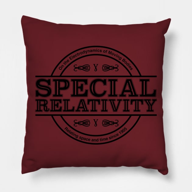 Special Relativity Pillow by acrossTPB