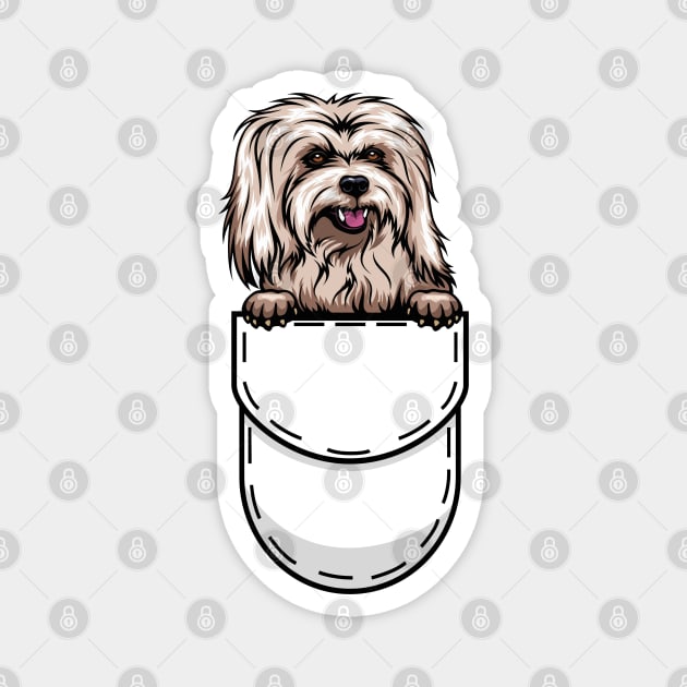 Funny Coton de Tulear Pocket Dog Magnet by Pet My Dog