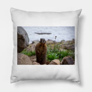 Standing Marmot Pillow