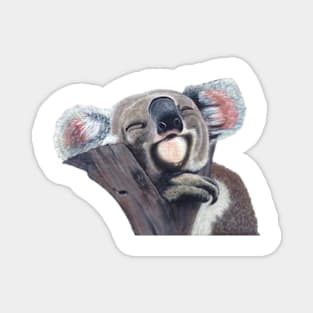 Koala bear Magnet