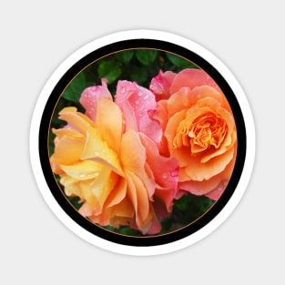 Pink Roses In A Transparent Circle Magnet