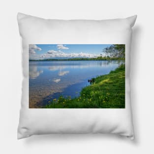 Clear Wasilla Lake Pillow