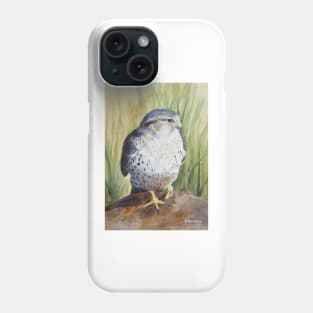 Merlin Phone Case