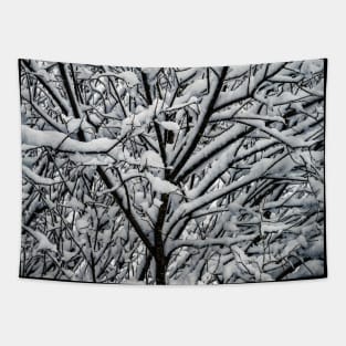 Snow Covered Winter Tree Branches Tapestry