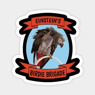 Birdie Brigade African Grey Parrot - Bare Chest Magnet