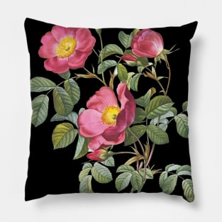 Vintage Rose #2 Pillow