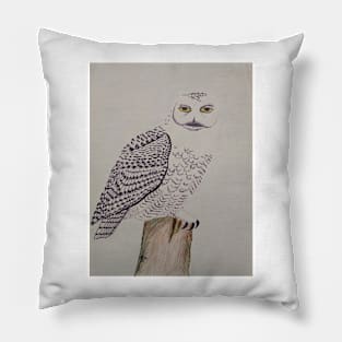 Snowy Owl on Post Pillow