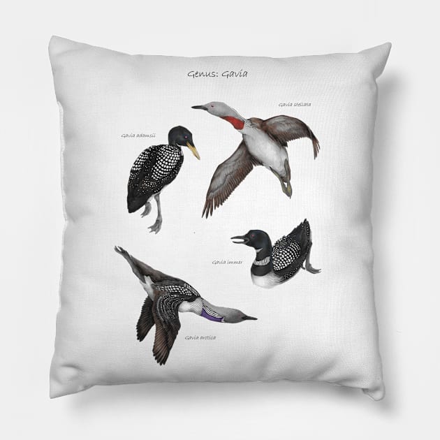 Genus Gavia Pillow by E