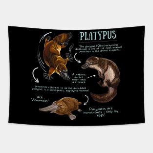 Animal Facts - Platypus Tapestry