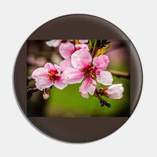 Peach Blossoms Pin