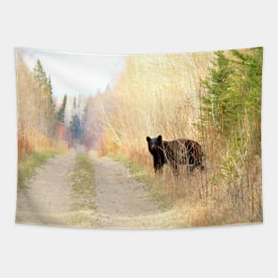 Black Bear on the Trail Tapestry