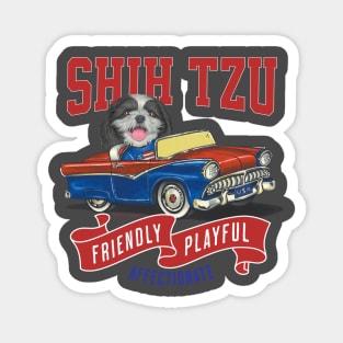 Cute Shih Tzu dog in a funny vintage classic retro car with red white and blue flags Magnet