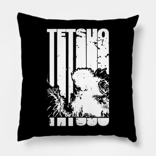 Akira Tetsuo Losing Arm | Black Pillow