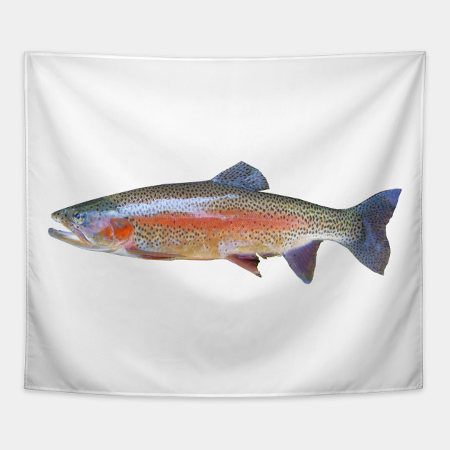 Rainbow Trout Size Chart