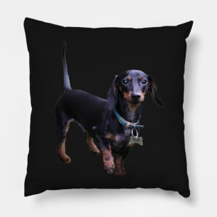 Tuff Dachshund sticker Pillow