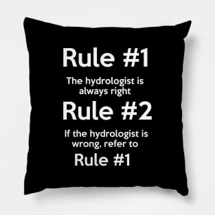 Hydrologist Pillow