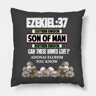 Ezekiel 37 Son of Man Dry Bones| Sons of Thunder Pillow