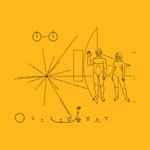 Pioneer Plaque by ThirdState