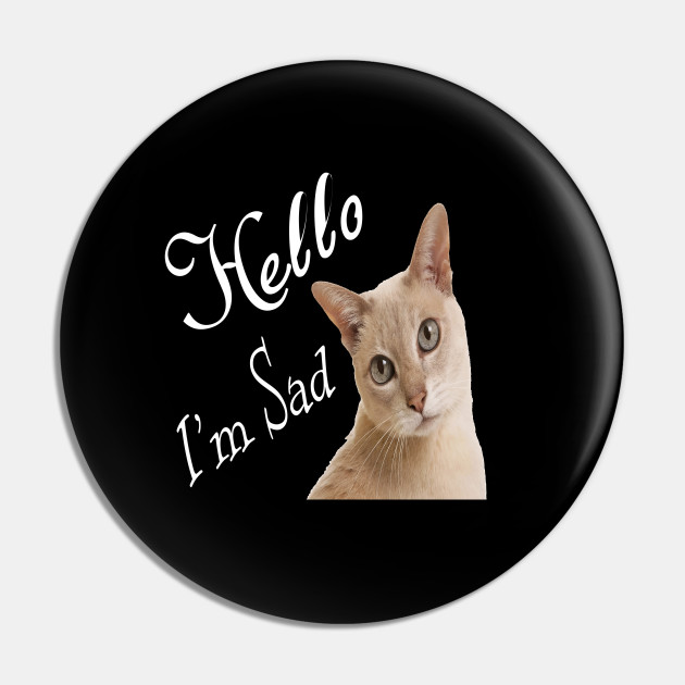 Hello My Cat Sad My Cat Pin Teepublic