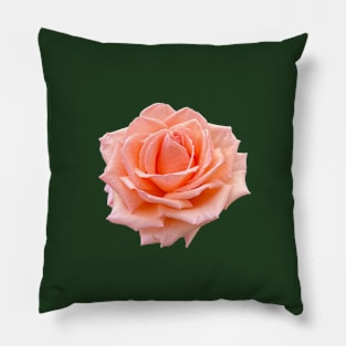 Coral Rose Pillow