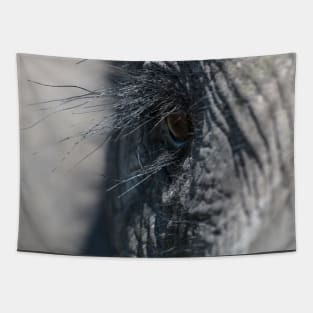 Elephant Eye Tapestry